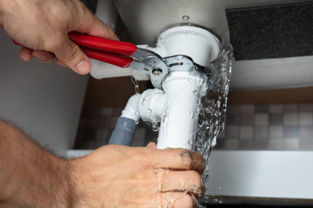 Best Water damage contractors near me  in Bedford, IN
