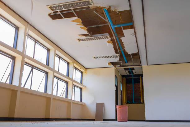 Best Water damage cleanup near me  in Bedford, IN