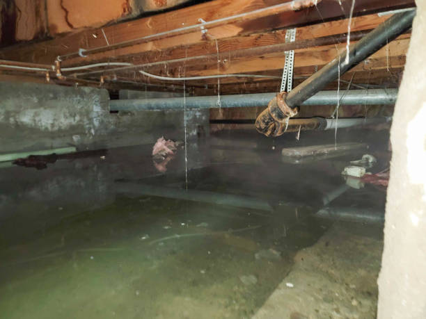 Professional Water damage restoration in Bedford, IN