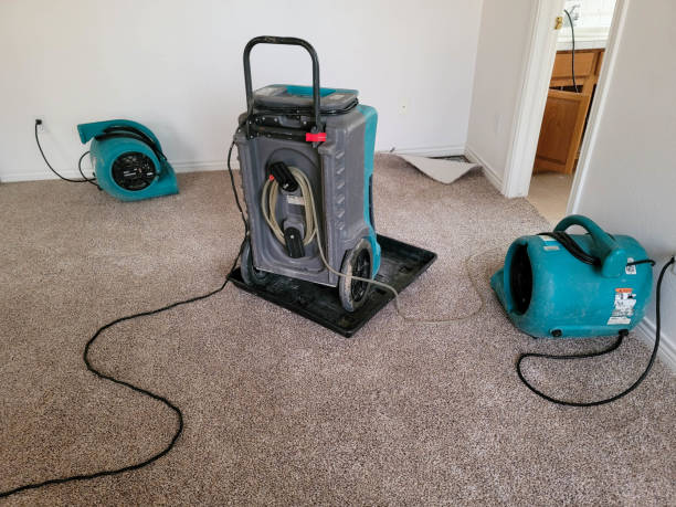 Best Mold removal after water damage  in Bedford, IN