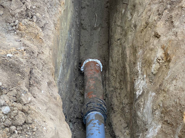 Best Basement water damage restoration  in Bedford, IN