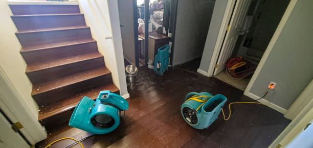  Bedford, IN Water damage restoration Pros