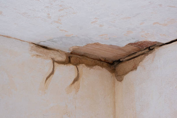 Best Ceiling water damage repair  in Bedford, IN