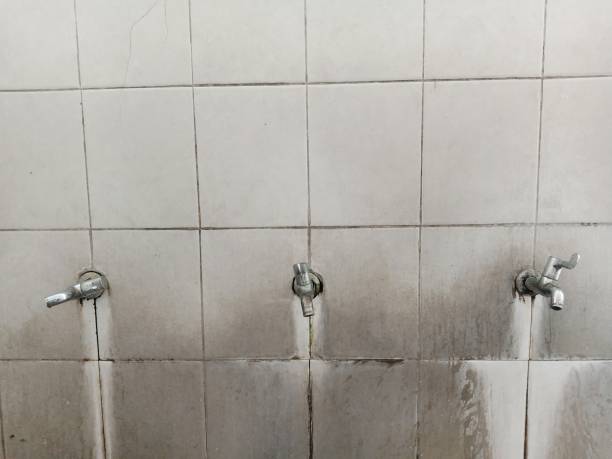 Best Flood restoration services  in Bedford, IN