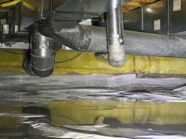 Best Local water damage restoration  in Bedford, IN