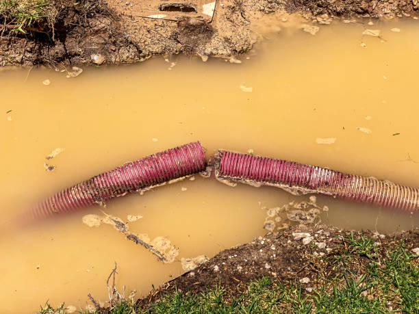 Best 24-hour water damage restoration  in Bedford, IN